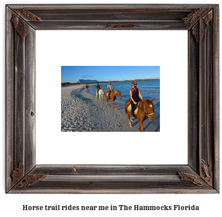 horse trail rides near me in The Hammocks, Florida